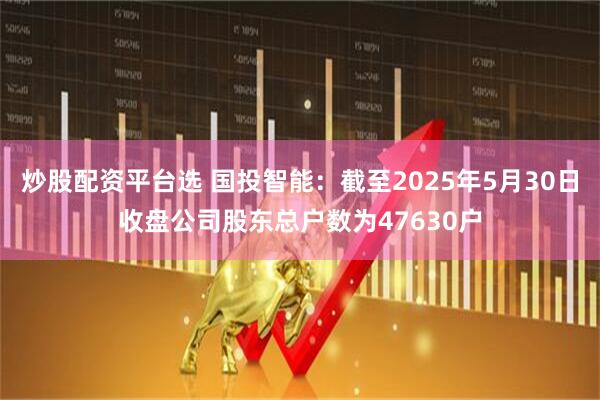 炒股配资平台选 国投智能：截至2025年5月30日收盘公司股东总户数为47630户