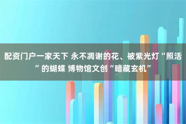 配资门户一家天下 永不凋谢的花、被紫光灯“照活”的蝴蝶 博物馆文创“暗藏玄机”